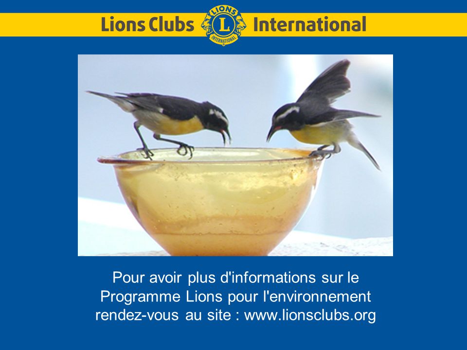 Pour avoir plus d informations sur le Programme Lions pour l environnement rendez-vous au site :