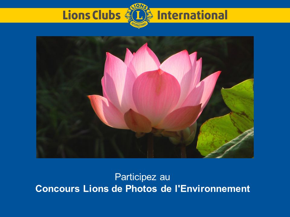 Participez au Concours Lions de Photos de l Environnement