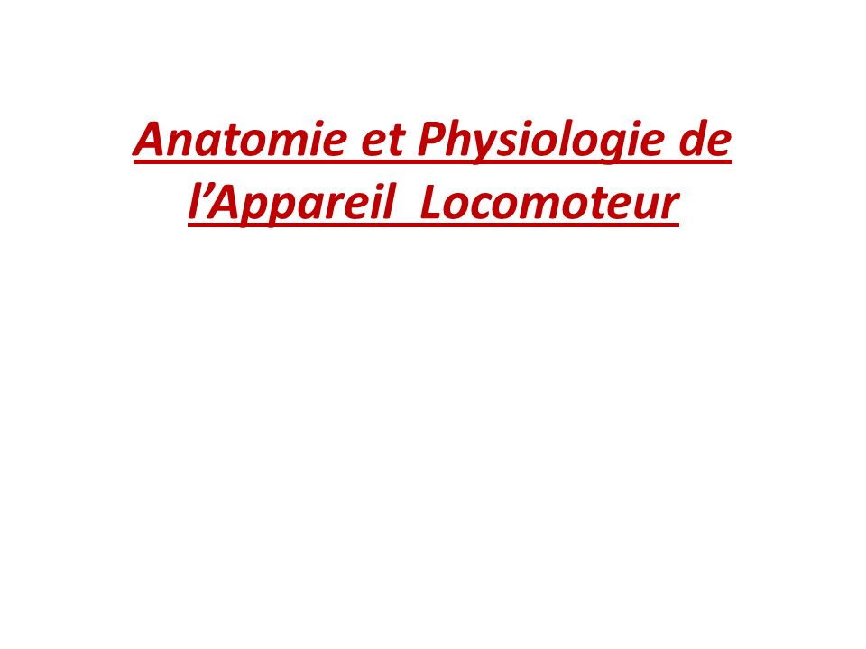 Anatomie et Physiologie de lAppareil Locomoteur ppt télécharger