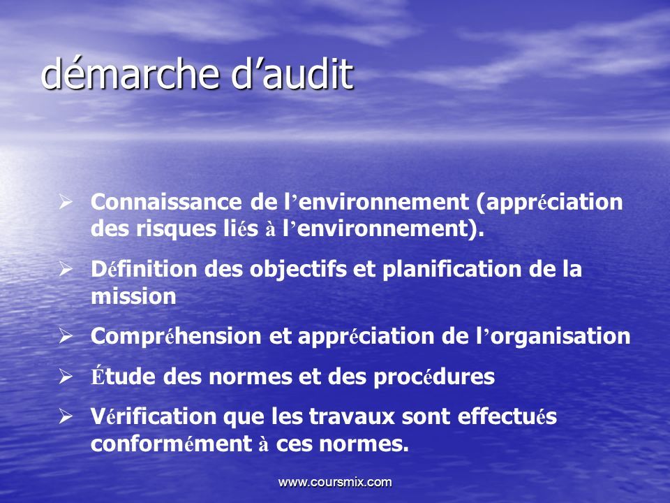 Audit Marketing PLAN DE LEXPOSE INTRODUCTION A PROPOS DE L AUDIT