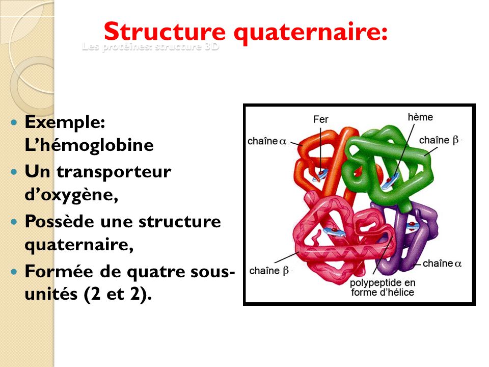 Résultat de recherche d'images pour "structure quaternaire protéine"