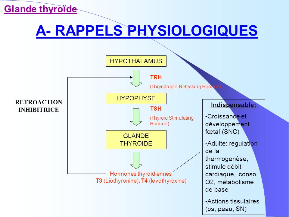 Protein Synthesis Inhibitors Course CEUfast