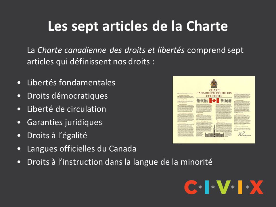 Les sept articles de la Charte La Charte canadienne des droits et libertés comprend sept articles qui définissent nos droits : Libertés fondamentales Droits démocratiques Liberté de circulation Garanties juridiques Droits à l’égalité Langues officielles du Canada Droits à l’instruction dans la langue de la minorité