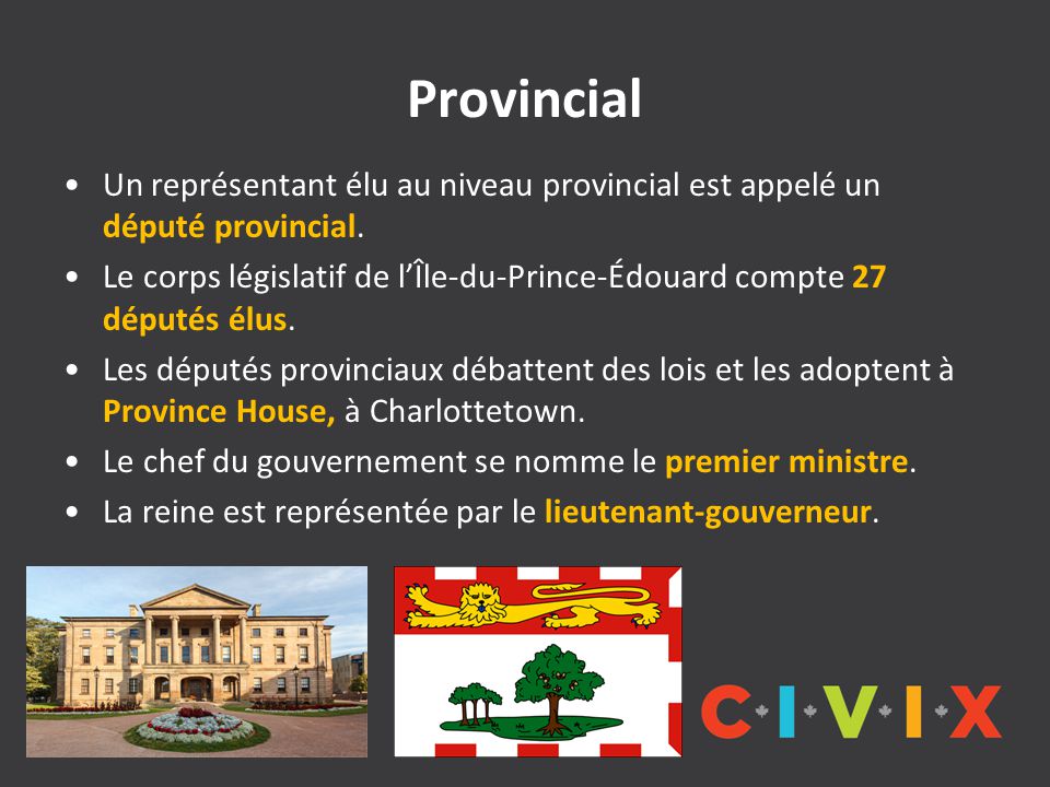 Provincial Un représentant élu au niveau provincial est appelé un député provincial.