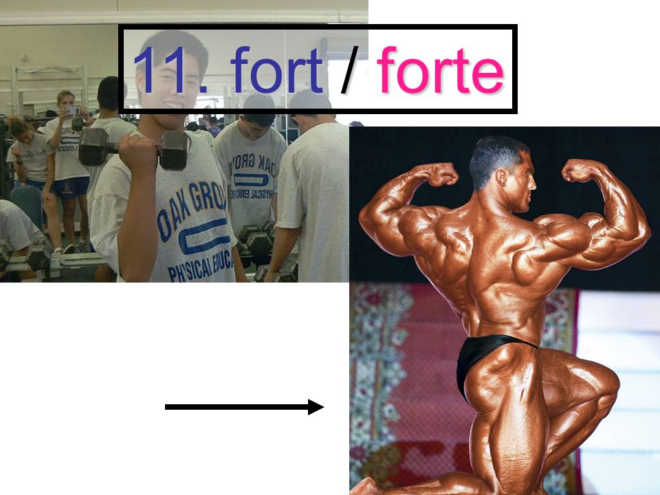 11. fort / forte