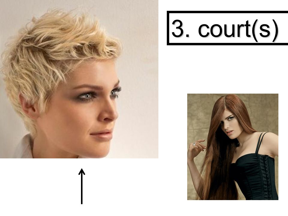 3. court(s)