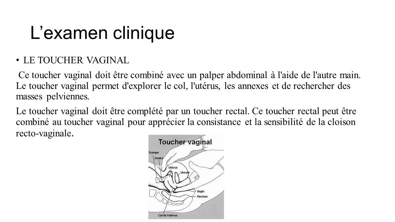 Pathologie en gynécologie Cours Mme Nazha Yammine ppt télécharger