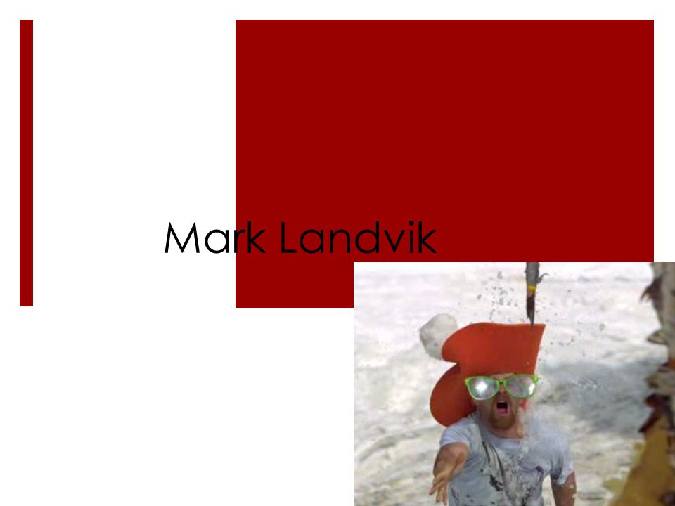 Mark Landvik