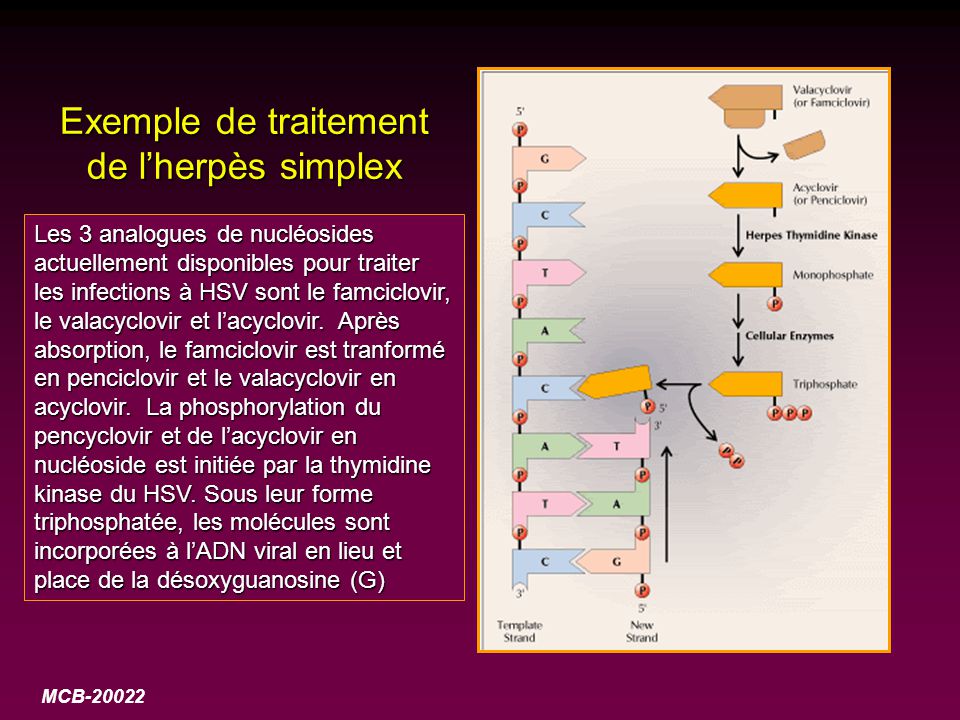 Viagra Douane
