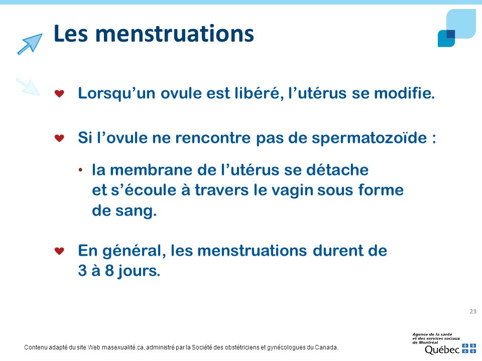 image rencontre spermatozoide ovule