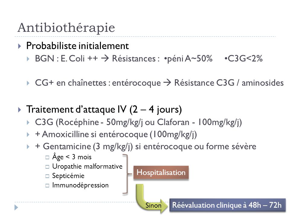 دخلت+زبي+بكسها ... péni a 50 % c3g 2 % cg+ en chaînettes entérocoque résistance c3g