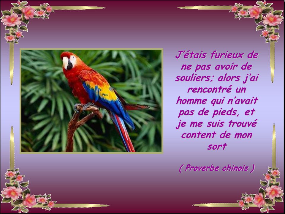 rencontrer gens qui nous ressemblent
