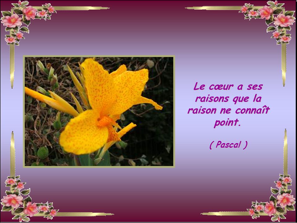 proverbe rencontre amitié