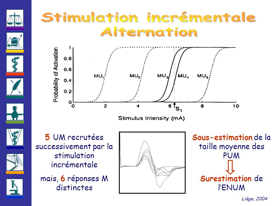 5 UM recrutées successivement par la stimulation incrémentale mais, 6 réponses M distinctes Sous-estimation de la taille moyenne des PUM Surestimation de l’ENUM Liège, 2004