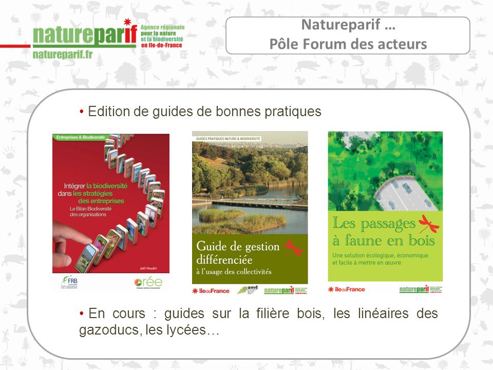 Natureparif … Pôle Forum des acteurs Edition de guides de bonnes pratiques En cours : guides sur la filière bois, les linéaires des gazoducs, les lycées…