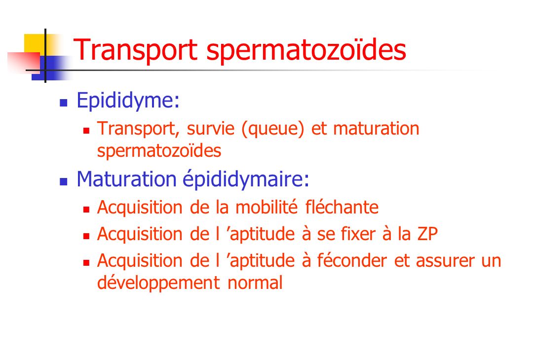 lieu de rencontre des gametes