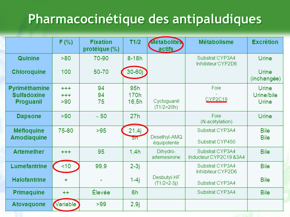 avis meilleur site de rencontre 2012