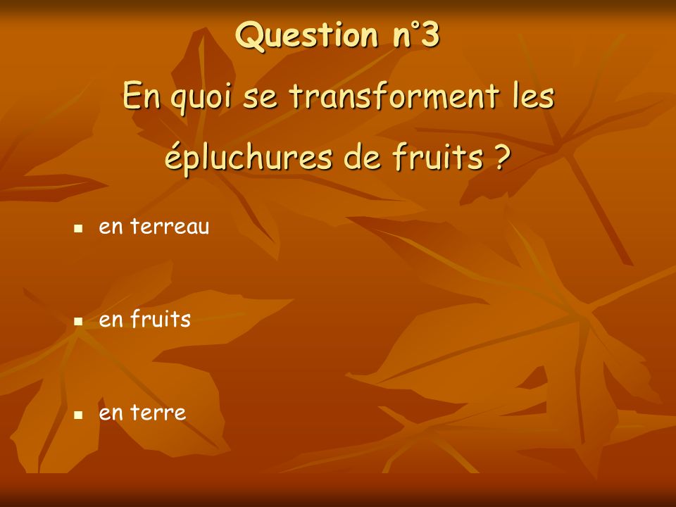 Question n°3 En quoi se transforment les épluchures de fruits en fruits en terre en terreau