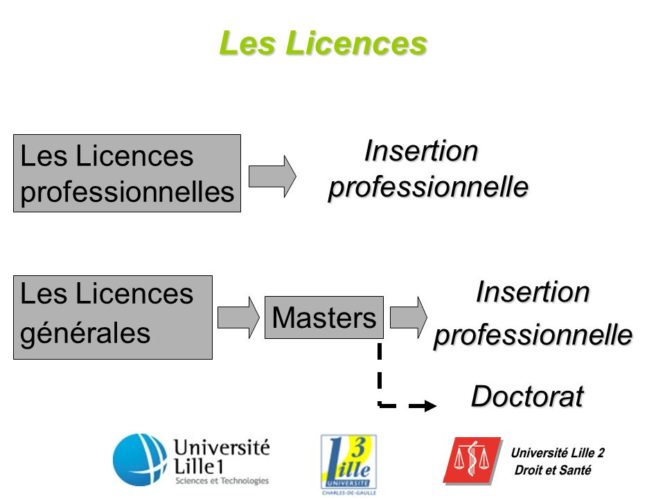 Les Licences générales Les Licences professionnelles Insertionprofessionnelle Insertionprofessionnelle Masters Doctorat