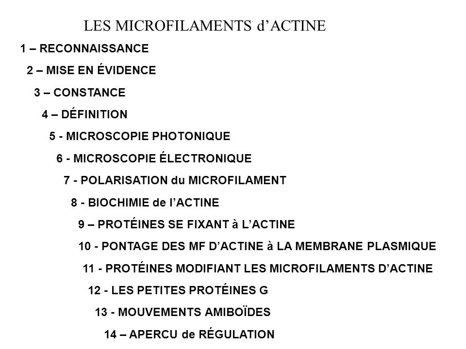 date charniere definition