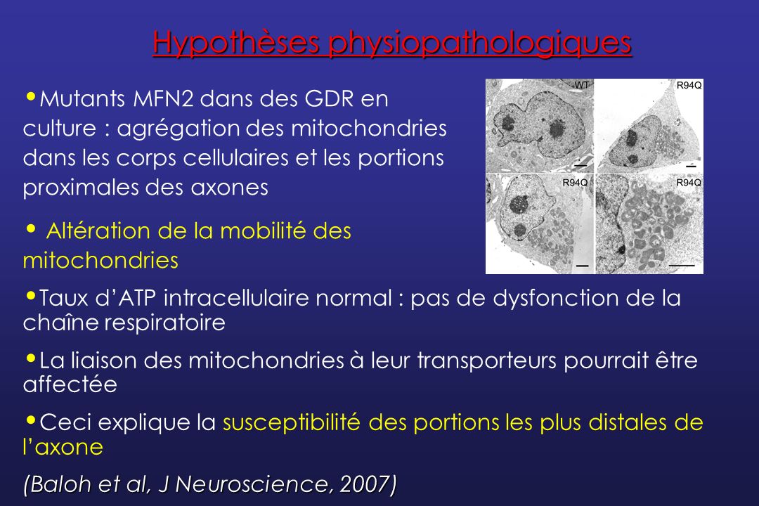 14 rencontres neurologie