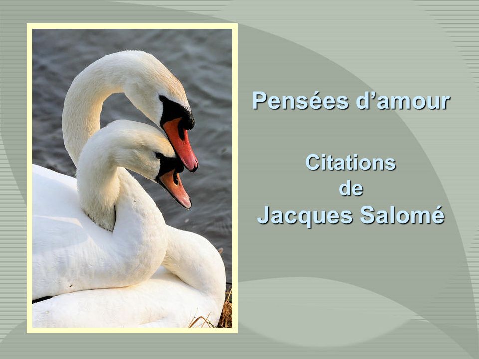 citation sur rencontre magique