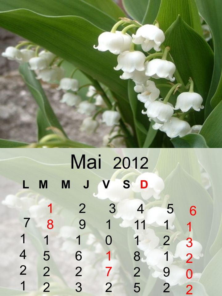 L M M J V S D Avril 2012
