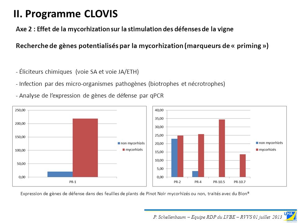 rencontres de virologie végétale aussois