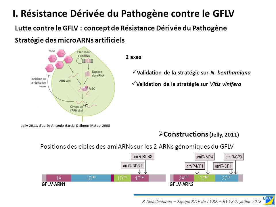 rencontres de virologie végétale aussois