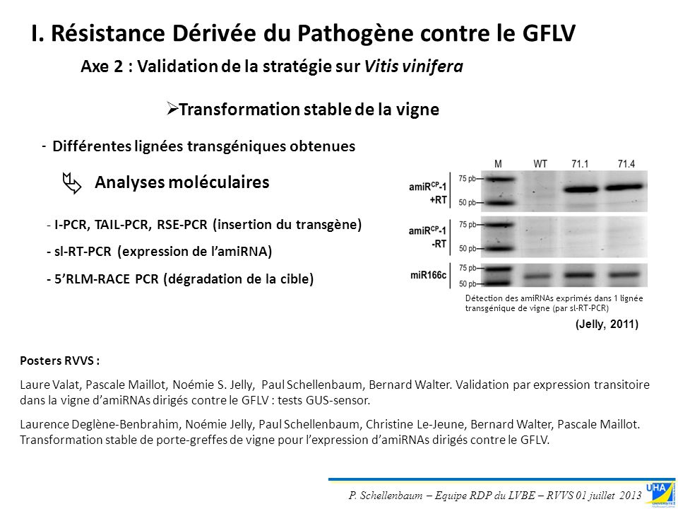 rencontres de virologie végétale aussois 2013