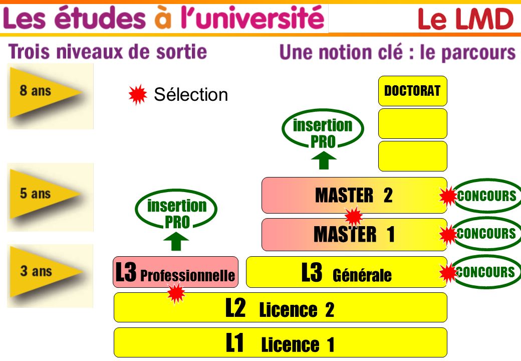 diplome 2 ans licence