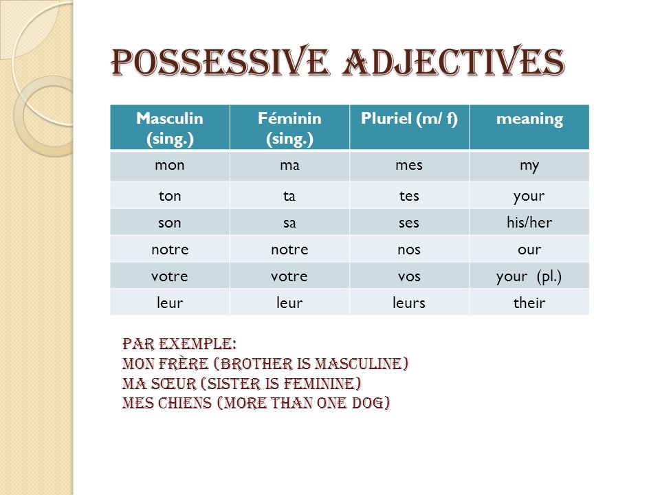 Possessive Adjectives Masculin (sing.) Féminin (sing.) Pluriel (m/ f)meaning monmamesmy tontatesyour sonsaseshis/her notre nosour votre vosyour (pl.) leur leurstheir Par exemple: Mon frère (brother is masculine) Ma sœur (sister is feminine) Mes chiens (more than one dog)
