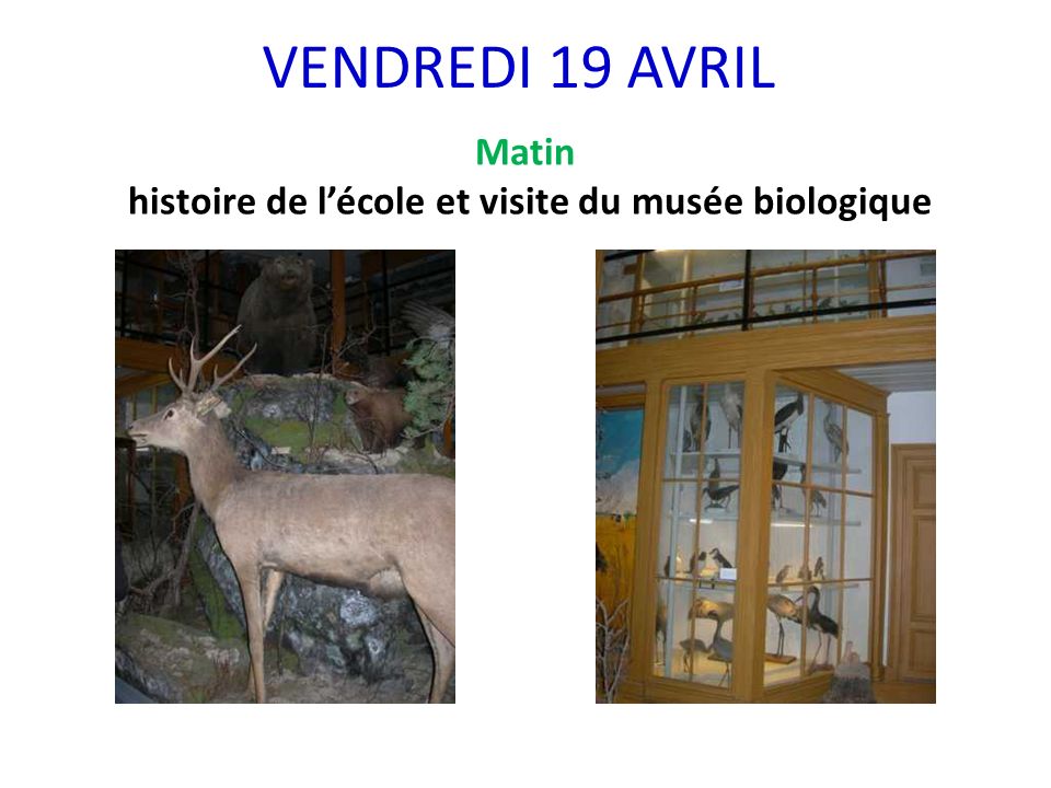 VENDREDI 19 AVRIL Matin histoire de lécole et visite du musée biologique