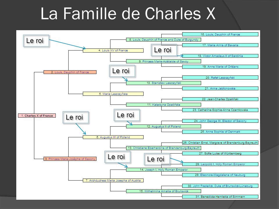 La Famille de Charles X Le roi