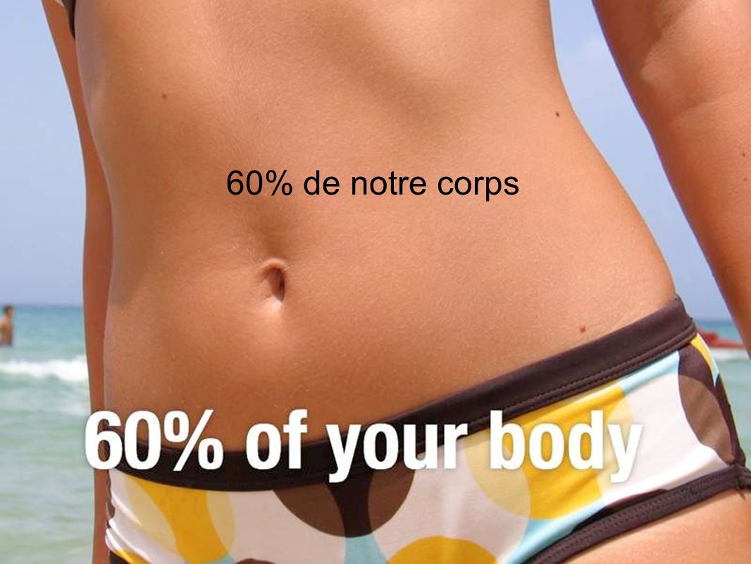 60% de notre corps