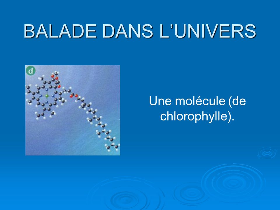 BALADE DANS LUNIVERS Une molécule (de chlorophylle).