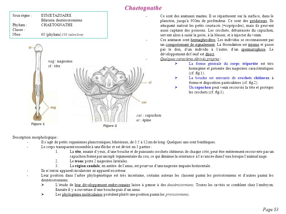 eviter la rencontre des cellules reproductrices