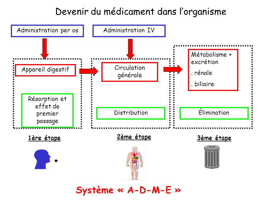 Pharmacocinétique cours