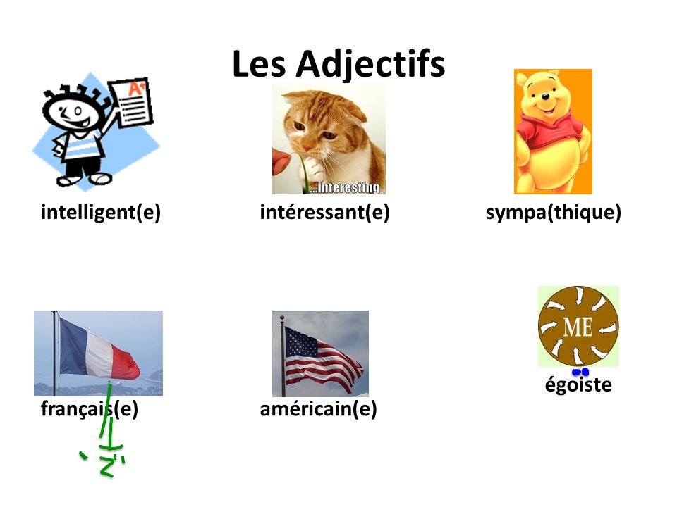 Les Adjectifs intelligent(e)intéressant(e) américain(e) sympa(thique) égoiste français(e)