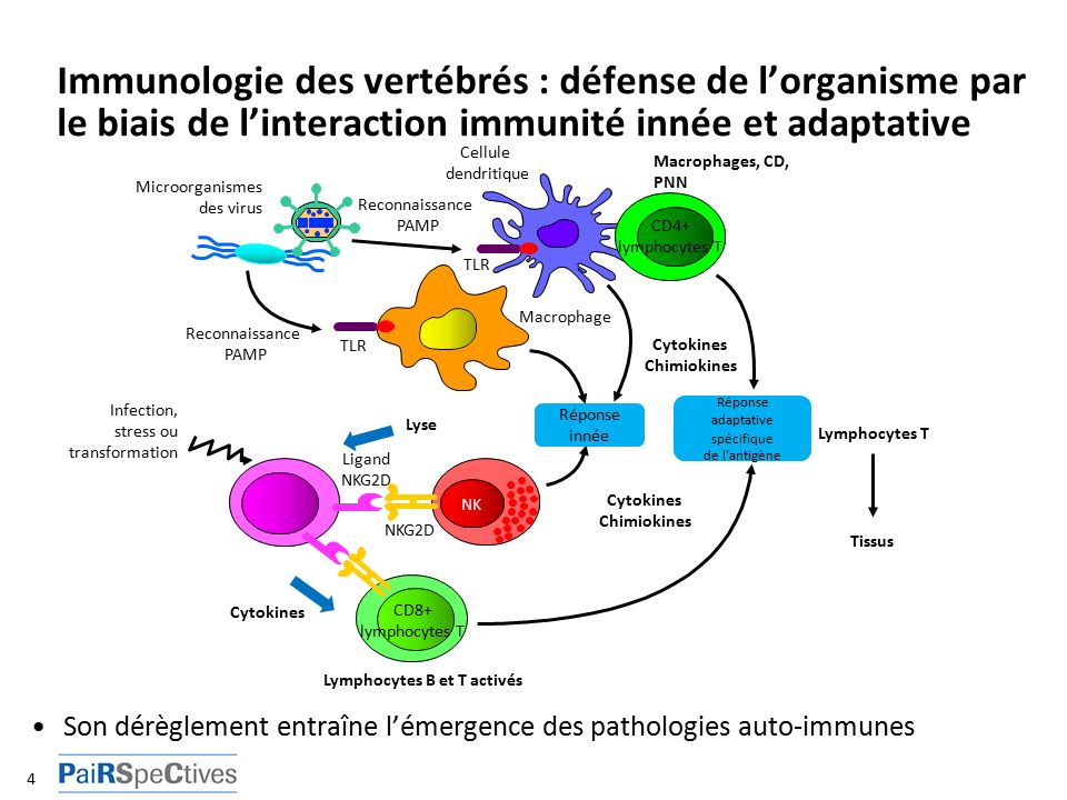 rencontres en immunologie et immunothérapie pratiques 2012