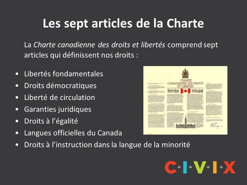 Les sept articles de la Charte La Charte canadienne des droits et libertés comprend sept articles qui définissent nos droits : Libertés fondamentales Droits démocratiques Liberté de circulation Garanties juridiques Droits à l’égalité Langues officielles du Canada Droits à l’instruction dans la langue de la minorité