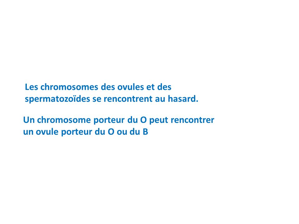 ou se fait la rencontre des cellules reproductrices