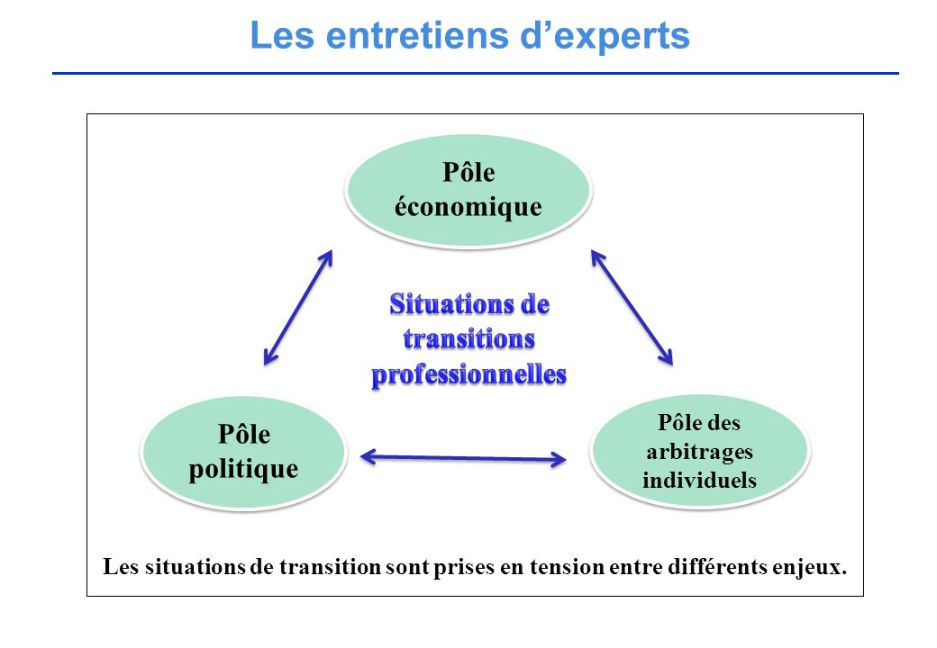Pôle politique Pôle des arbitrages individuels Pôle économique Les situations de transition sont prises en tension entre différents enjeux.