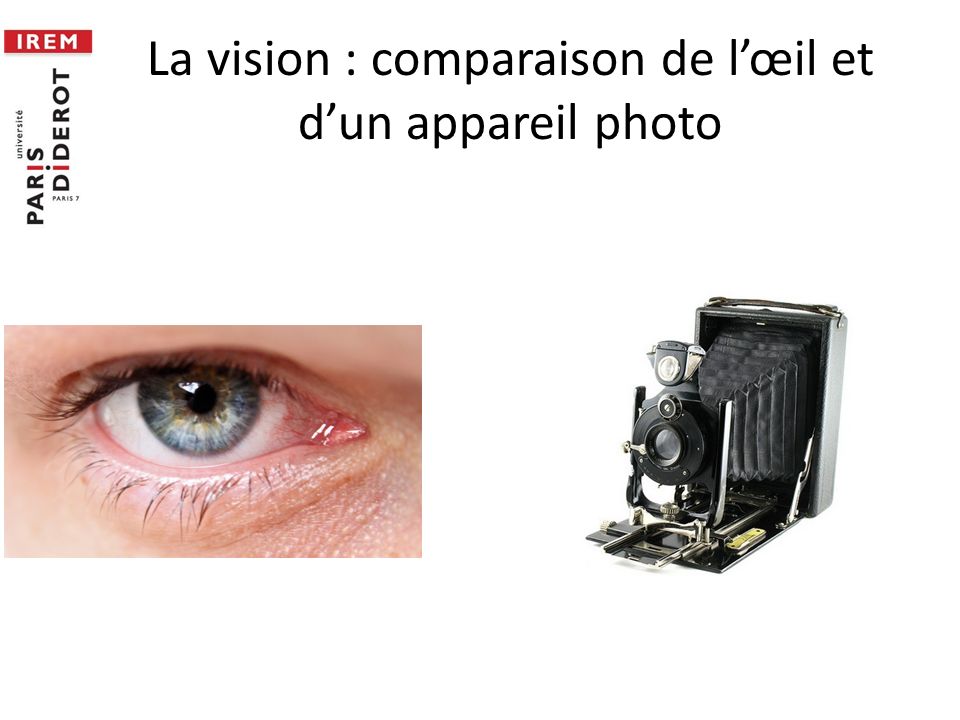 La vision : comparaison de l’œil et d’un appareil photo