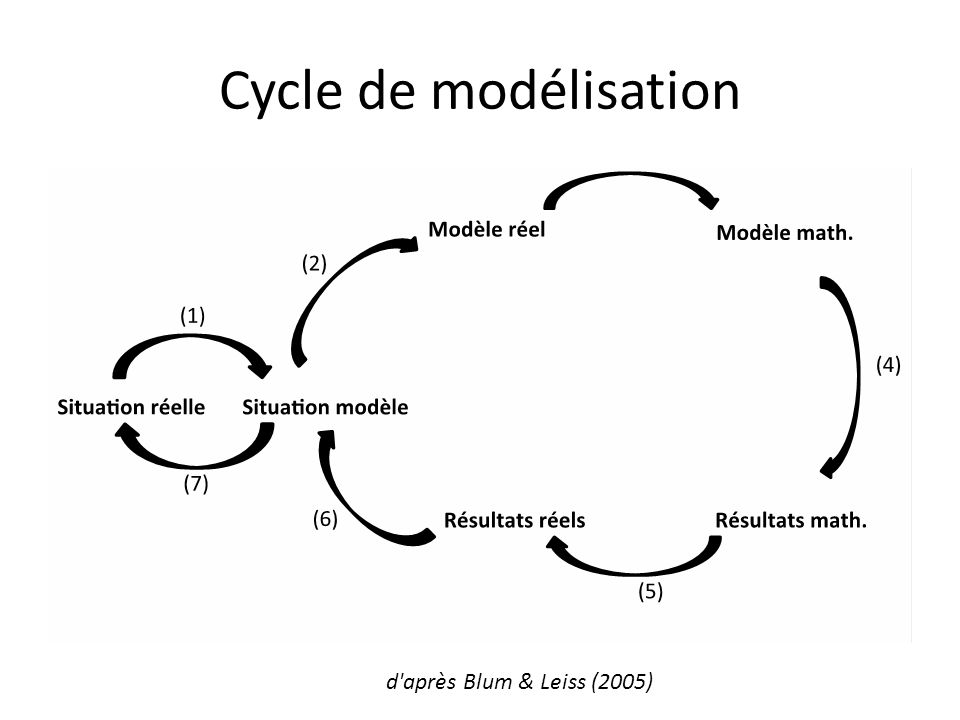 Cycle de modélisation d après Blum & Leiss (2005)