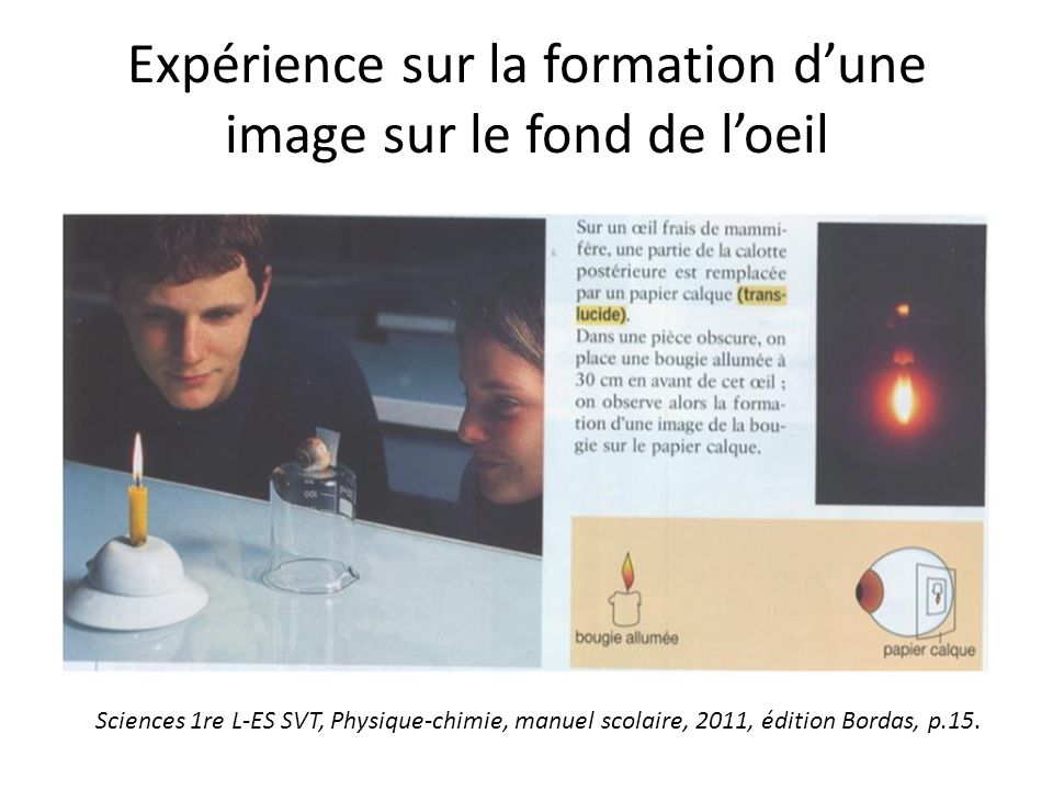 Expérience sur la formation d’une image sur le fond de l’oeil Sciences 1re L-ES SVT, Physique-chimie, manuel scolaire, 2011, édition Bordas, p.15.