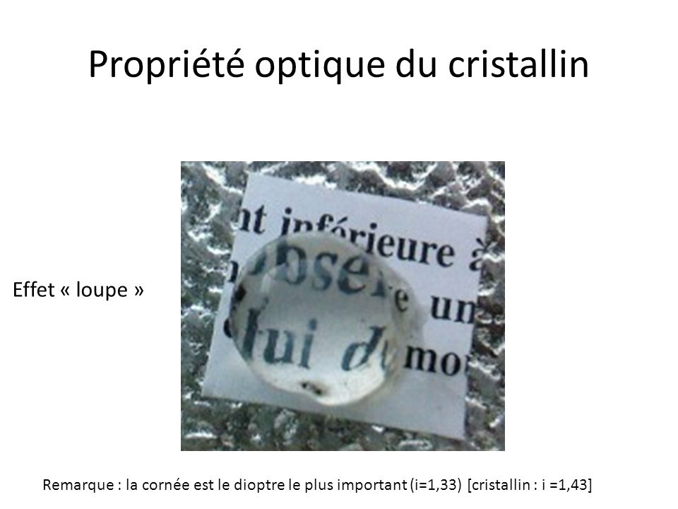 Propriété optique du cristallin Effet « loupe » Remarque : la cornée est le dioptre le plus important (i=1,33) [cristallin : i =1,43]