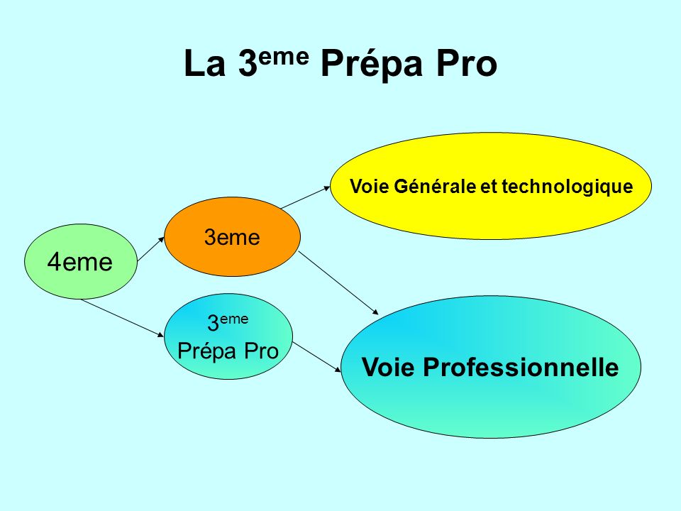 La 3 eme Prépa Pro 4eme 3eme Voie Générale et technologique Voie Professionnelle 3 eme Prépa Pro
