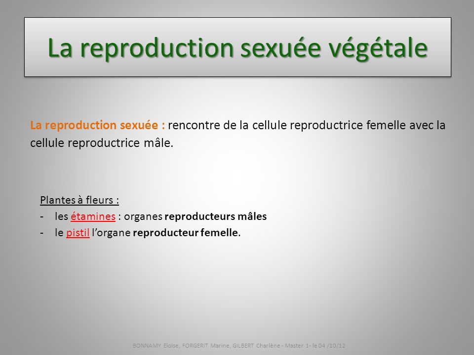 rencontres plantes bactéries