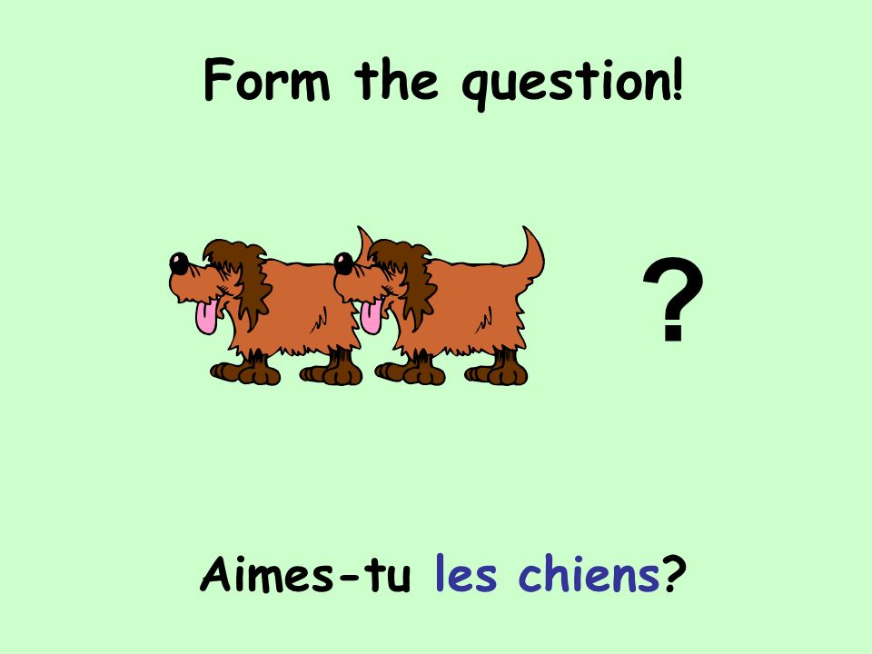 Form the question! Aimes-tu les chiens